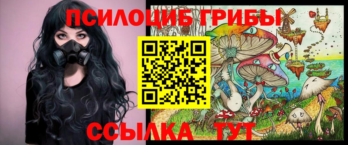 Псилоцибиновые грибы Psilocybe Тихвин