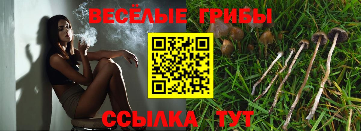 Галлюциногенные грибы мухоморы  Псилоцибиновые грибы ЛСД  Тихвин  Вход с VPN 
